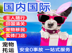 鞍山腾鳌航空快运国际宠物托运 【国